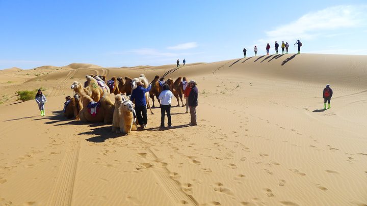 Tengger Desert, Inner Mongolia, 2026/10—photo #18