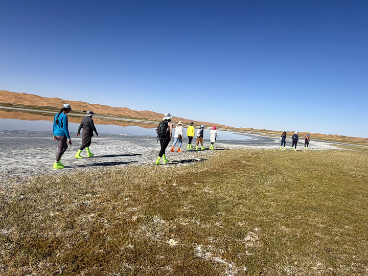Tengger Desert, Inner Mongolia, 2026/10—photo #29