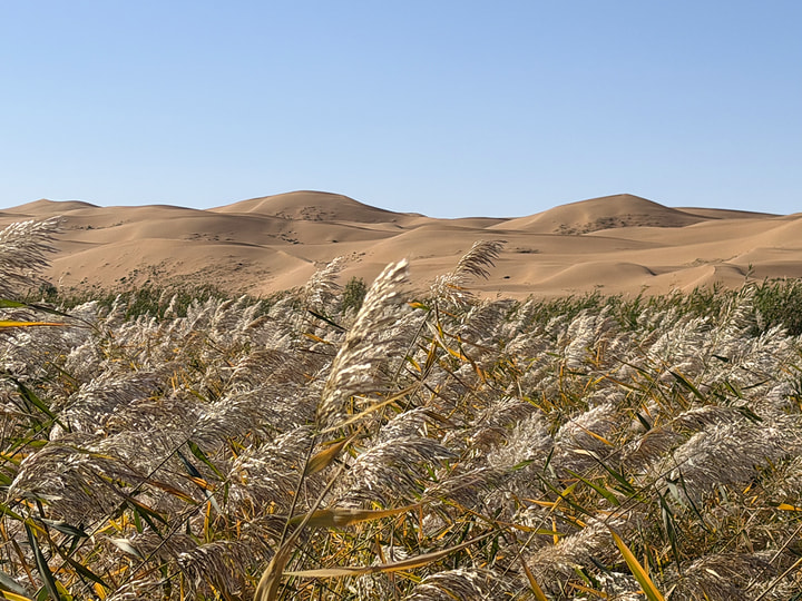 Tengger Desert, Inner Mongolia, 2026/10—photo #31