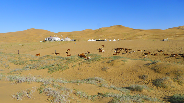 Tengger Desert, Inner Mongolia, 2026/10—photo #33