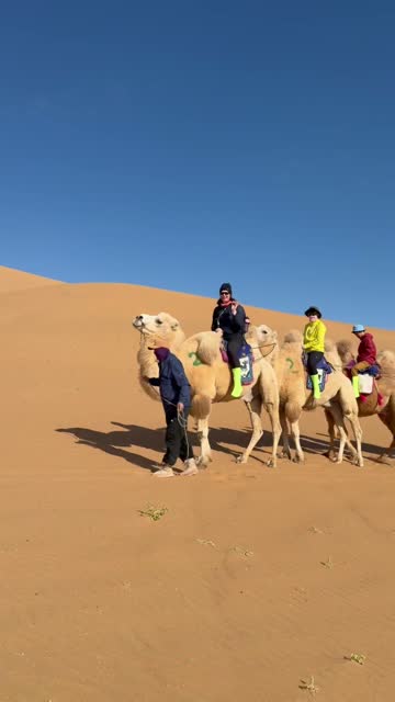 Tengger Desert, Inner Mongolia, 2026/10—photo #88