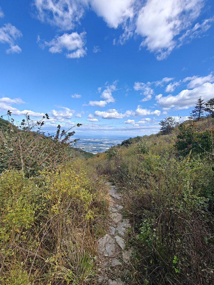 Vulture Rock Ridge and the Old Pilgrims’ Trail hike, 2026/10/04—photo #5