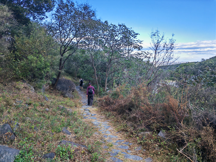Vulture Rock Ridge and the Old Pilgrims’ Trail hike, 2026/10/04—photo #26