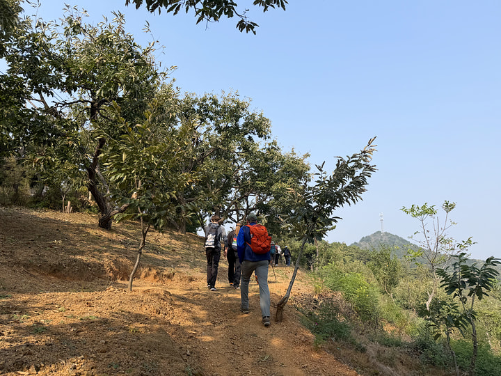 Rolling Hills hike, 2026/10/11—photo #1