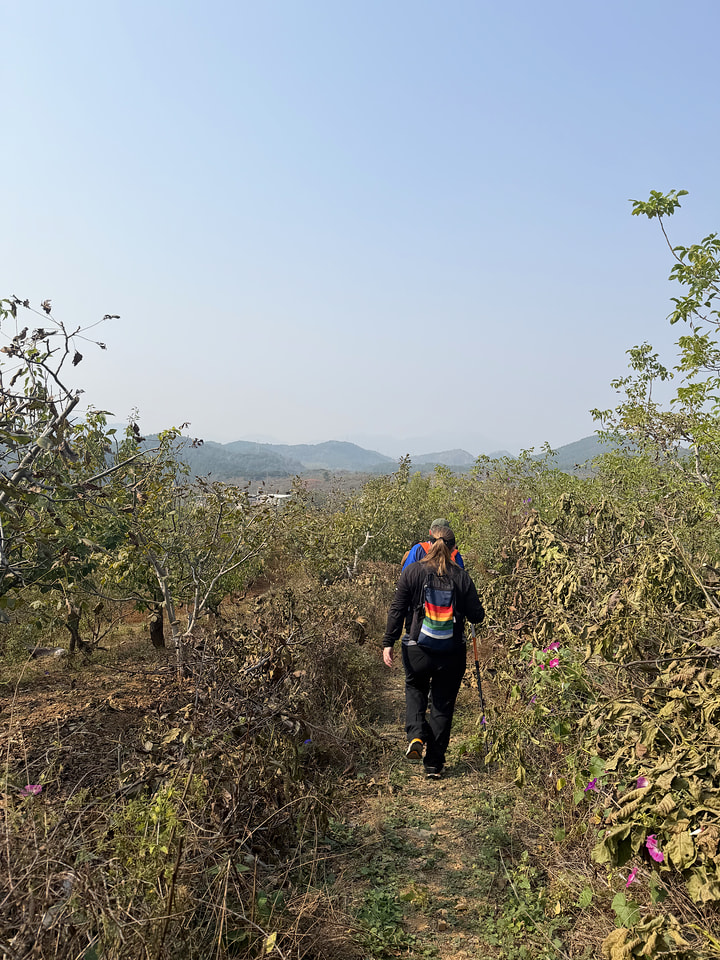 Rolling Hills hike, 2026/10/11—photo #5
