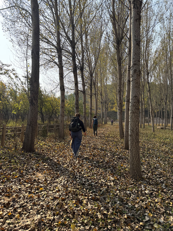 Rolling Hills hike, 2026/10/11—photo #13