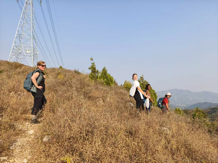 Rolling Hills hike, 2026/10/11—photo #16