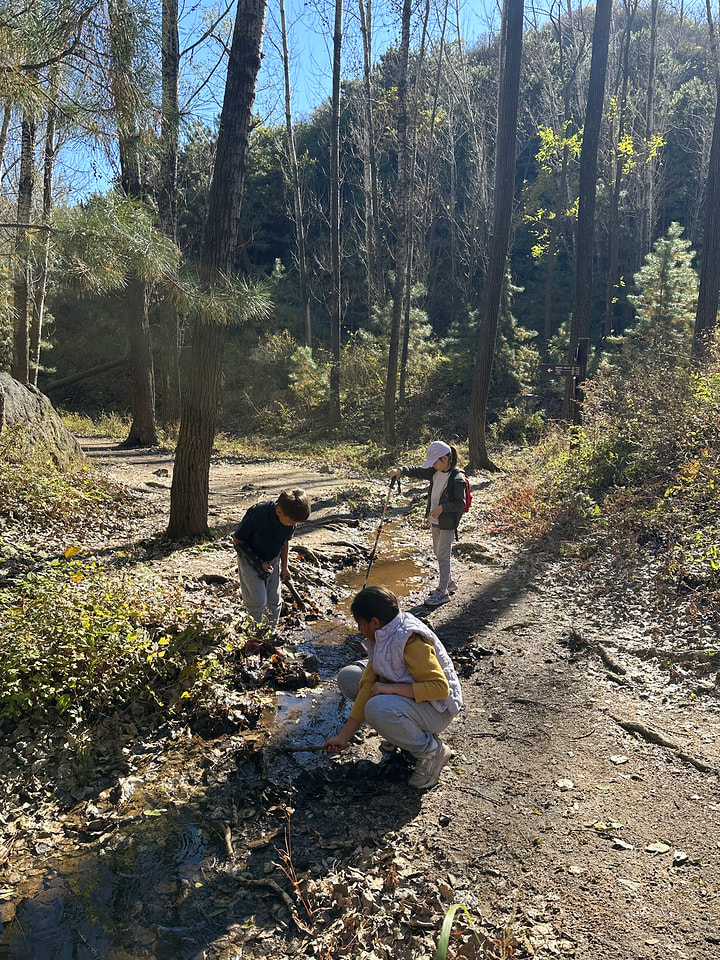 Lianhuatan Little Loop, 2026/10/18—photo #15