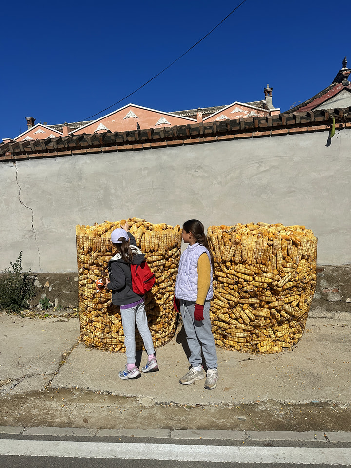 Lianhuatan Little Loop, 2026/10/18—photo #16