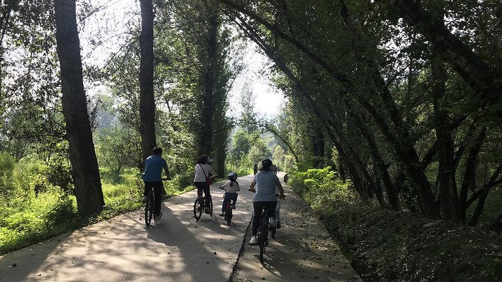 Riding through the forest.