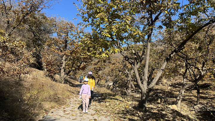 Hiking through the orchards near Big Black Mountain