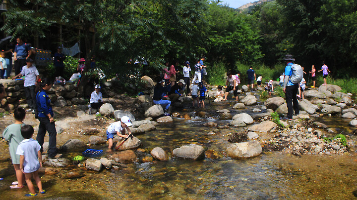 Kids playing in the water by the Dragon Pool