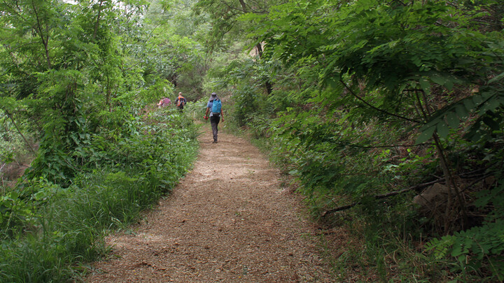 On a gravel track in the mountains