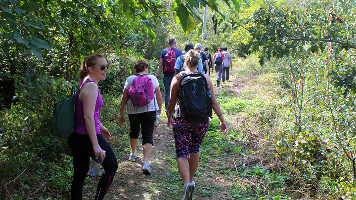 On a track through orchards