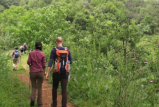 Prove Your Loyalty | One of the forest paths on the hike